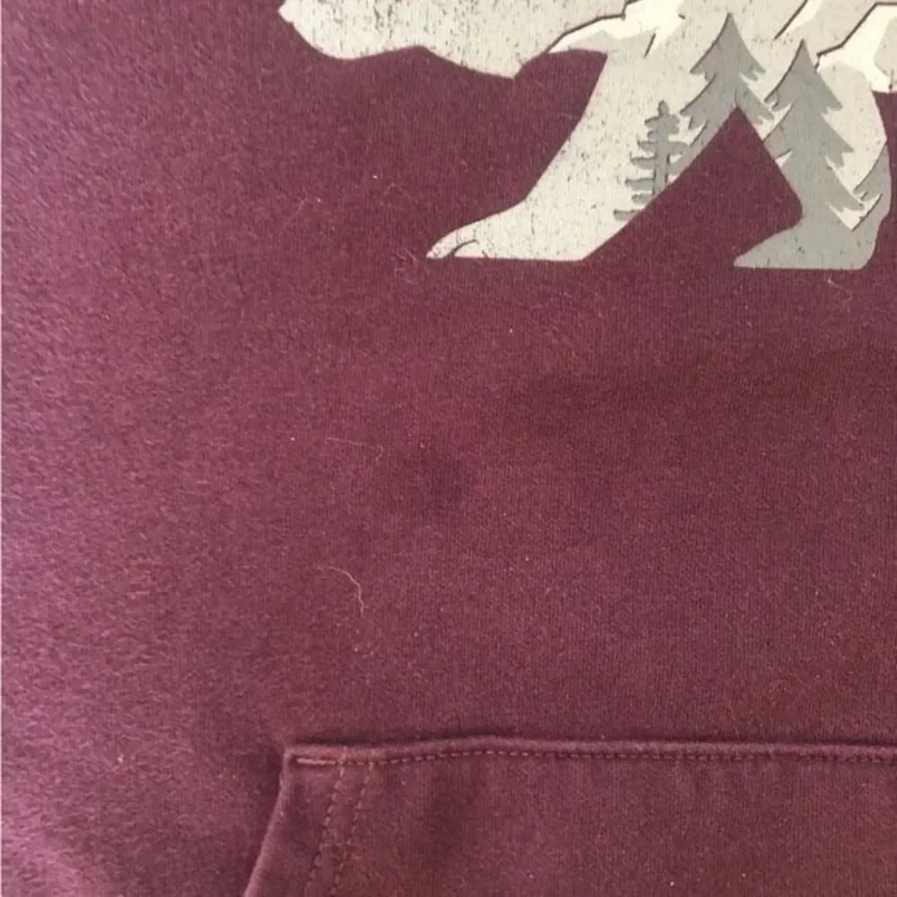 The North Face Men's‎ Maroon Small Fleece Lined Distressed Bear Hoodie Pullover